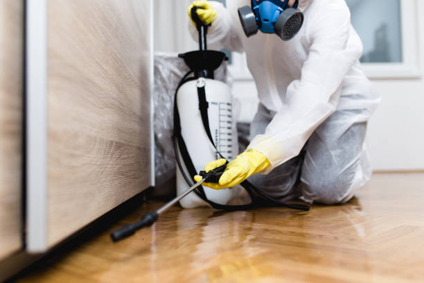 Best Pest Control Treatment  in Eslon, CA