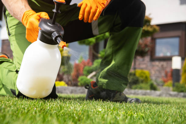 Best Wasp Removal Services  in Eslon, CA