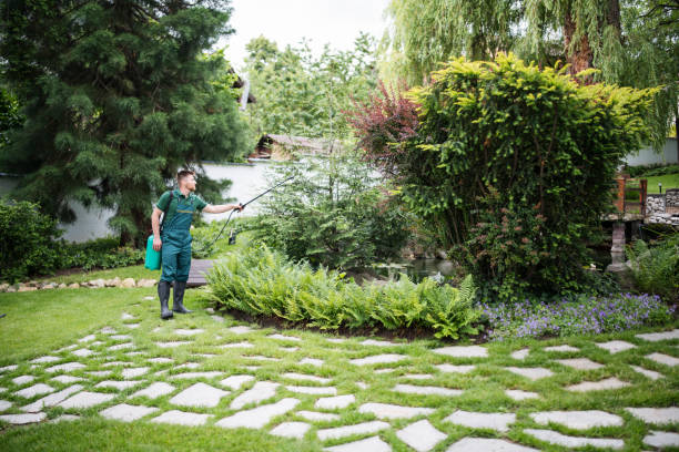 Best Pest Control for Homes  in Eslon, CA
