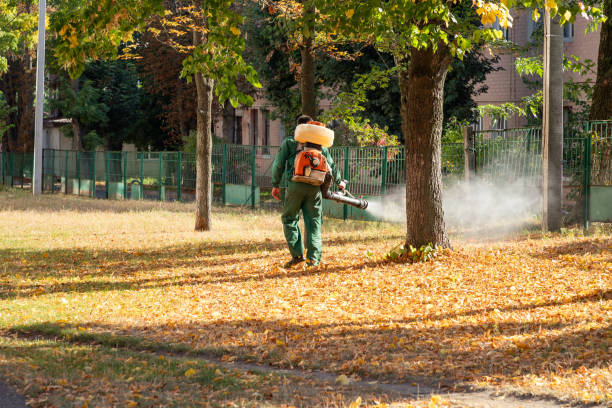 Best Ant Control Services  in Eslon, CA