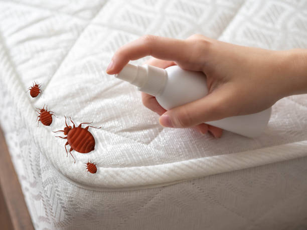 Best Insect Control  in Eslon, CA