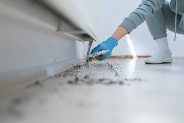 Best Local Pest Control Services  in Eslon, CA