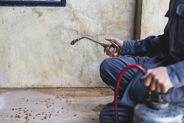 Best Exterminator Services  in Eslon, CA